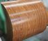 Печатание картины мрамора СПКК Препайнтед картина Ппги стальной катушки деревянная